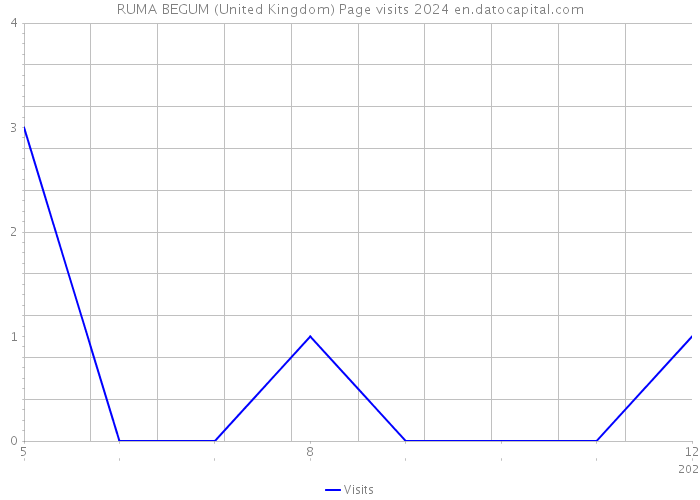 RUMA BEGUM (United Kingdom) Page visits 2024 