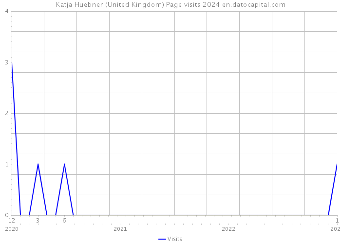 Katja Huebner (United Kingdom) Page visits 2024 