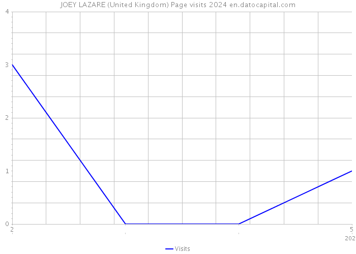 JOEY LAZARE (United Kingdom) Page visits 2024 