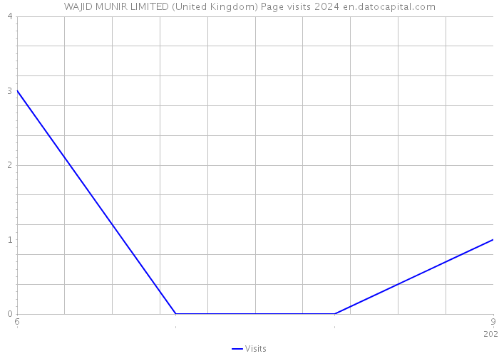 WAJID MUNIR LIMITED (United Kingdom) Page visits 2024 