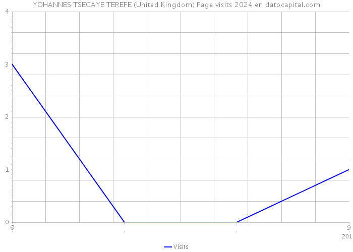 YOHANNES TSEGAYE TEREFE (United Kingdom) Page visits 2024 