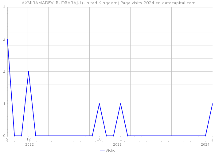 LAXMIRAMADEVI RUDRARAJU (United Kingdom) Page visits 2024 