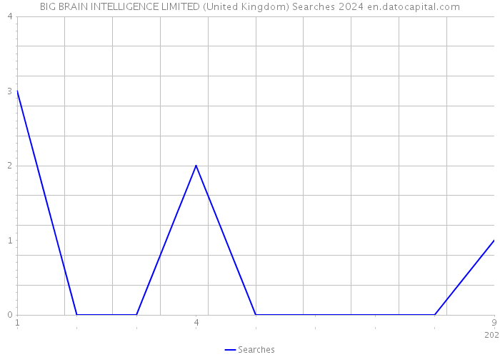BIG BRAIN INTELLIGENCE LIMITED (United Kingdom) Searches 2024 