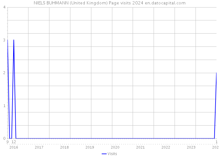 NIELS BUHMANN (United Kingdom) Page visits 2024 