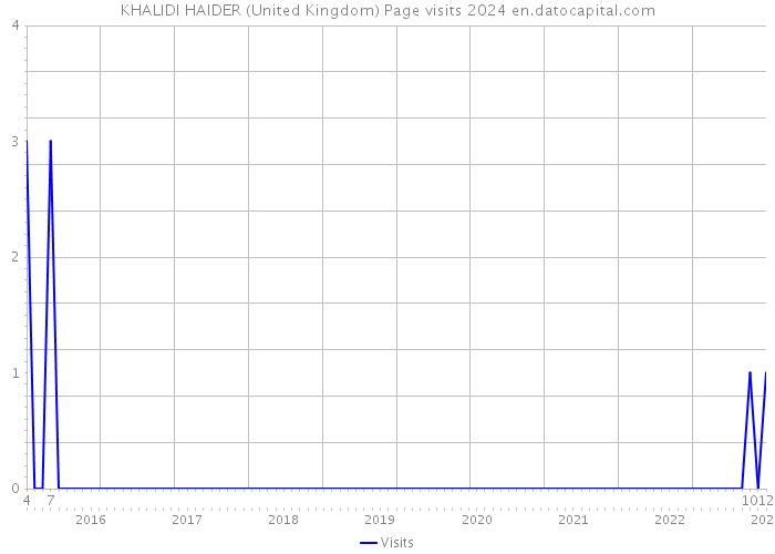 KHALIDI HAIDER (United Kingdom) Page visits 2024 