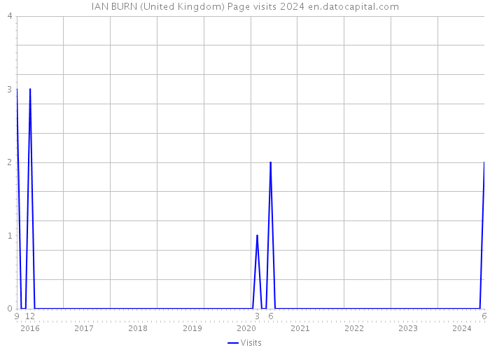 IAN BURN (United Kingdom) Page visits 2024 