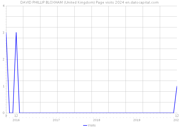 DAVID PHILLIP BLOXHAM (United Kingdom) Page visits 2024 