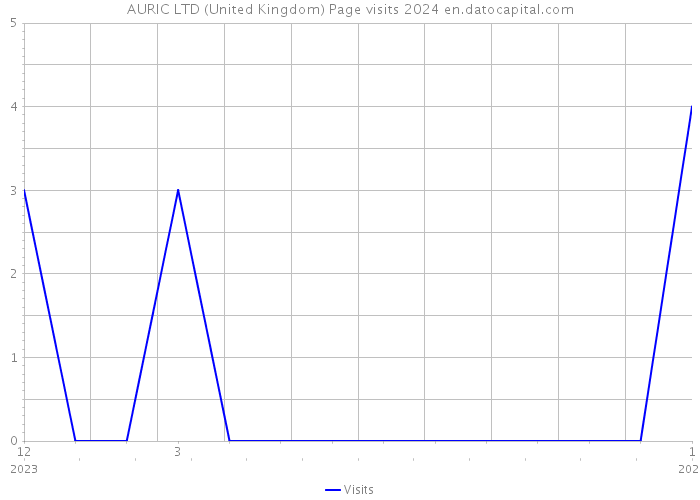 AURIC LTD (United Kingdom) Page visits 2024 