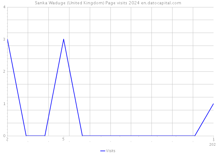Sanka Waduge (United Kingdom) Page visits 2024 