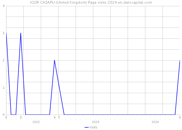 IGOR CASAPU (United Kingdom) Page visits 2024 
