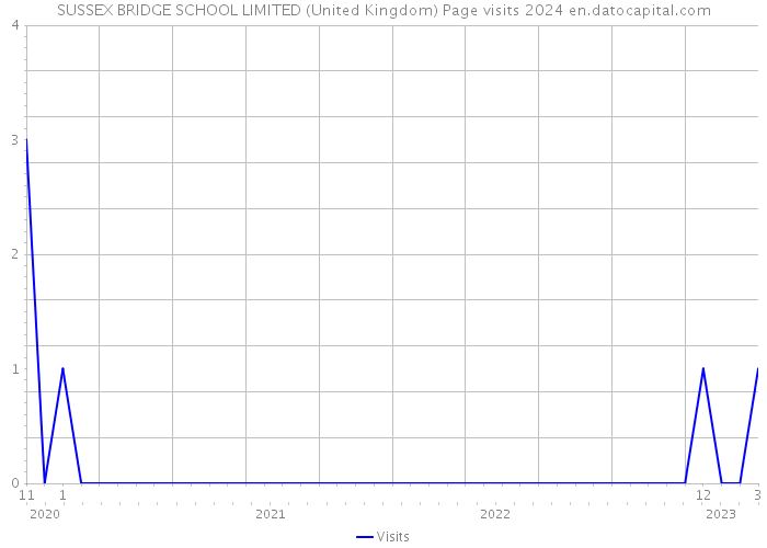 SUSSEX BRIDGE SCHOOL LIMITED (United Kingdom) Page visits 2024 