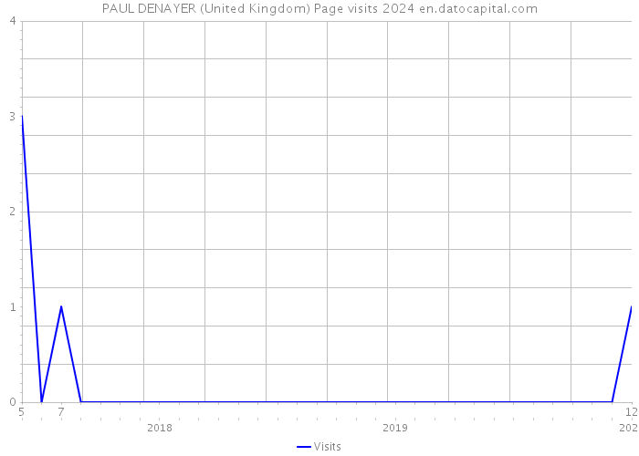 PAUL DENAYER (United Kingdom) Page visits 2024 