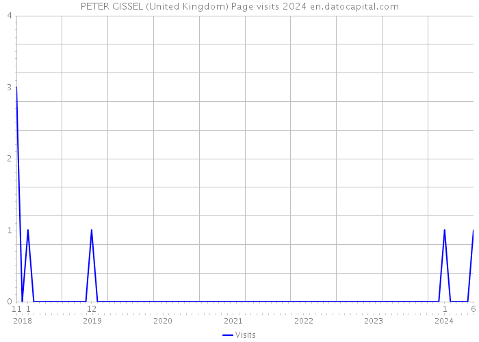 PETER GISSEL (United Kingdom) Page visits 2024 