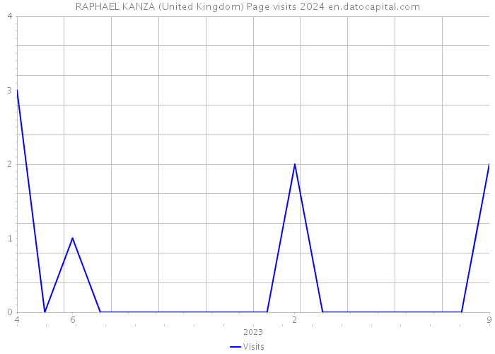 RAPHAEL KANZA (United Kingdom) Page visits 2024 