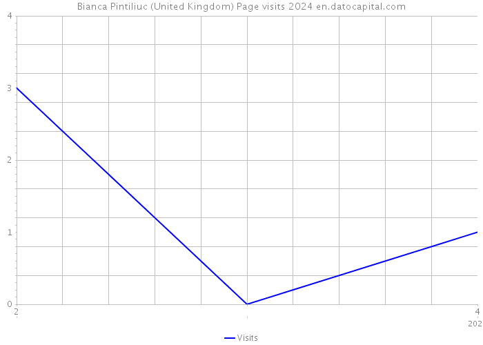 Bianca Pintiliuc (United Kingdom) Page visits 2024 