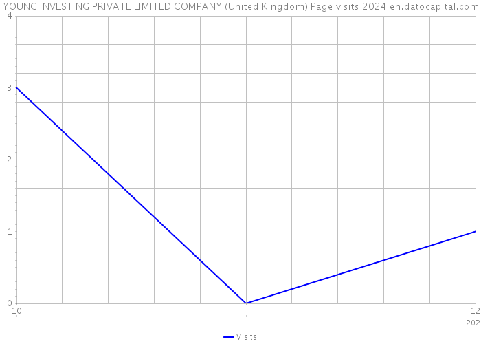YOUNG INVESTING PRIVATE LIMITED COMPANY (United Kingdom) Page visits 2024 