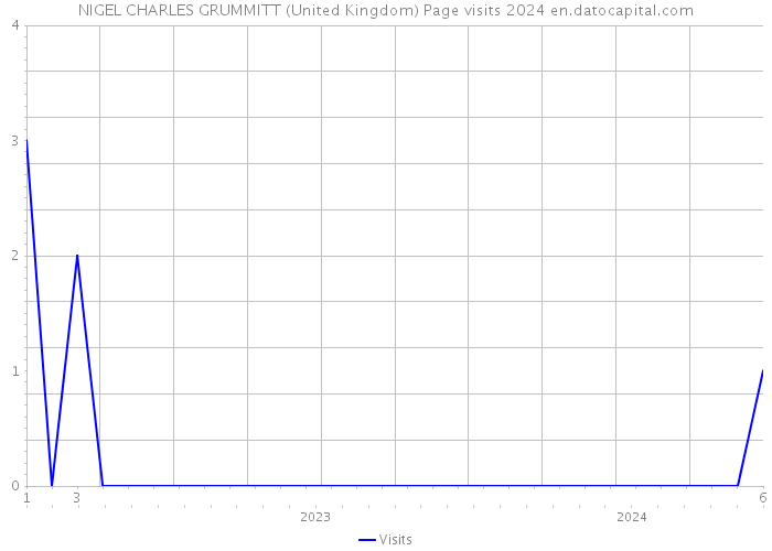 NIGEL CHARLES GRUMMITT (United Kingdom) Page visits 2024 