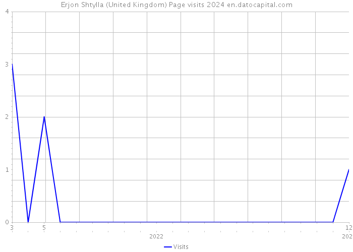 Erjon Shtylla (United Kingdom) Page visits 2024 