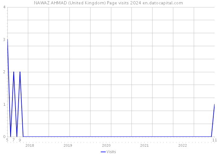 NAWAZ AHMAD (United Kingdom) Page visits 2024 