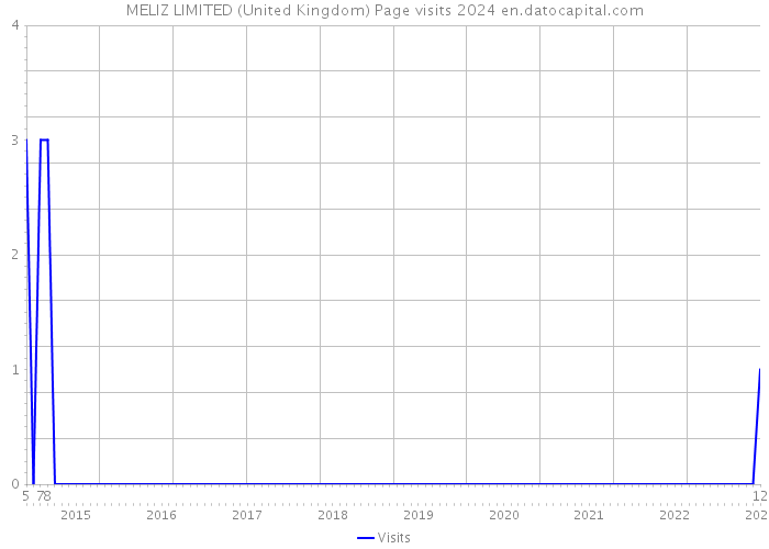 MELIZ LIMITED (United Kingdom) Page visits 2024 