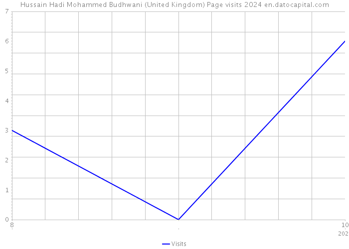 Hussain Hadi Mohammed Budhwani (United Kingdom) Page visits 2024 