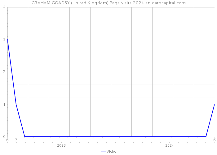 GRAHAM GOADBY (United Kingdom) Page visits 2024 