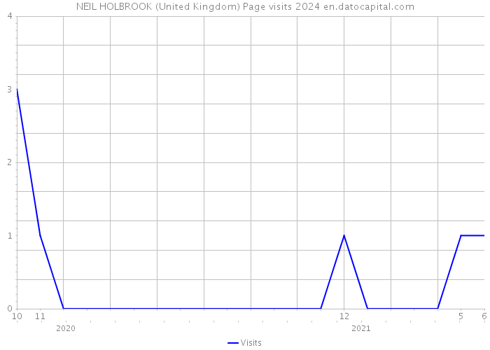 NEIL HOLBROOK (United Kingdom) Page visits 2024 