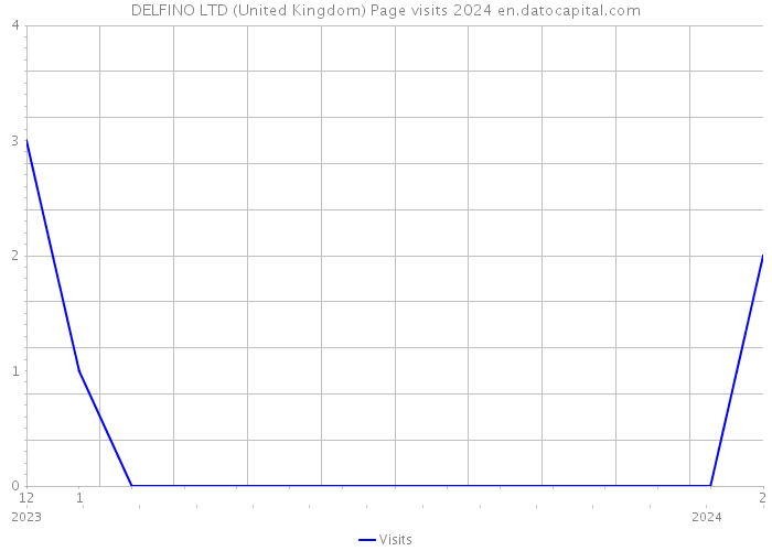 DELFINO LTD (United Kingdom) Page visits 2024 