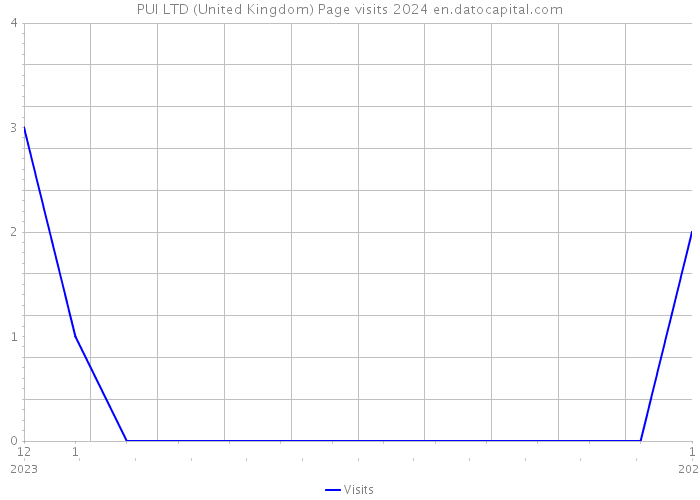 PUI LTD (United Kingdom) Page visits 2024 