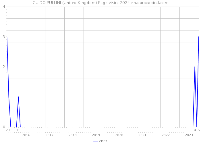 GUIDO PULLINI (United Kingdom) Page visits 2024 