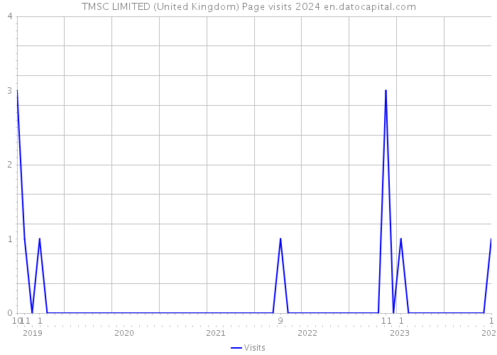 TMSC LIMITED (United Kingdom) Page visits 2024 