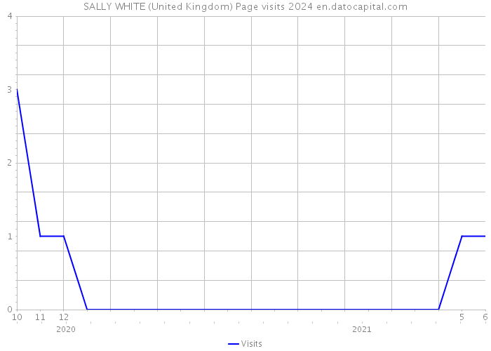 SALLY WHITE (United Kingdom) Page visits 2024 