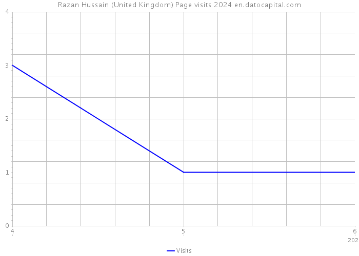 Razan Hussain (United Kingdom) Page visits 2024 