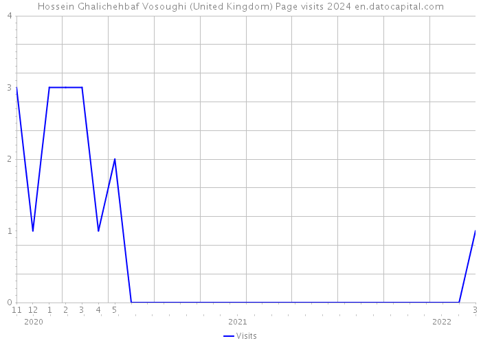 Hossein Ghalichehbaf Vosoughi (United Kingdom) Page visits 2024 