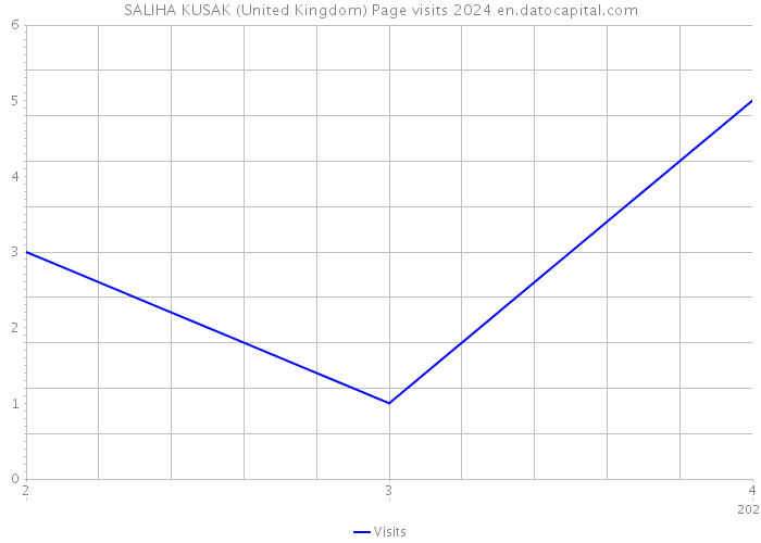SALIHA KUSAK (United Kingdom) Page visits 2024 