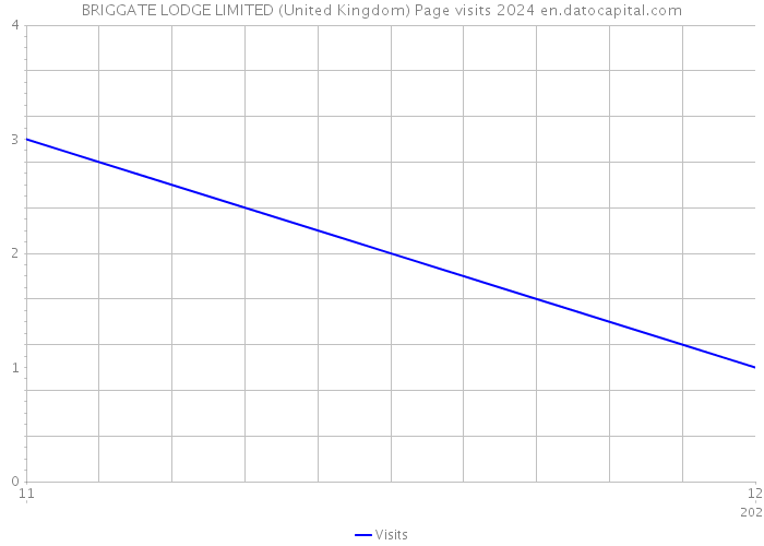 BRIGGATE LODGE LIMITED (United Kingdom) Page visits 2024 