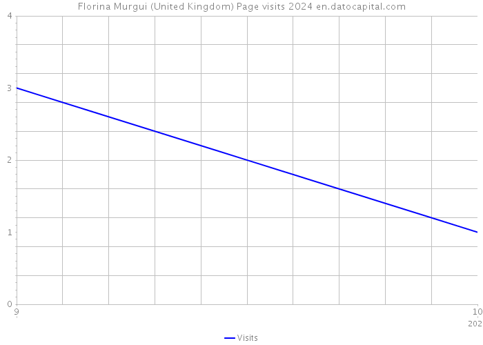 Florina Murgui (United Kingdom) Page visits 2024 