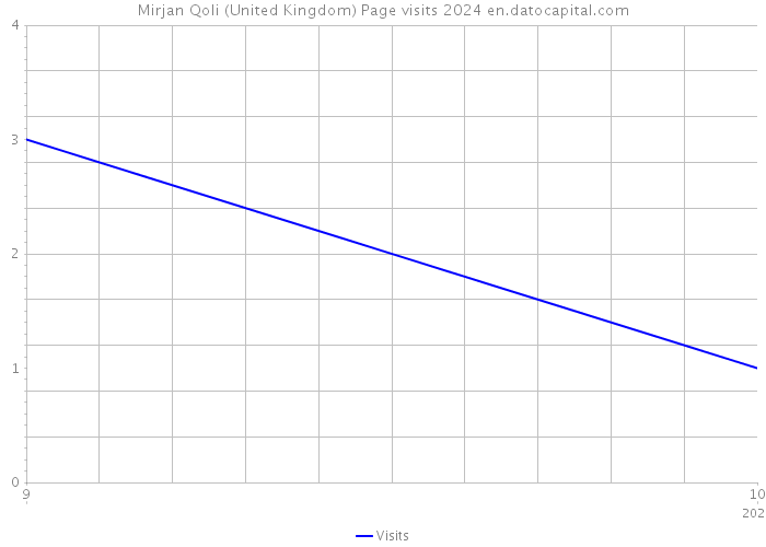 Mirjan Qoli (United Kingdom) Page visits 2024 
