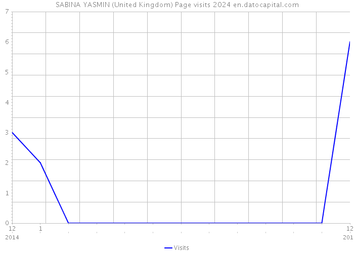 SABINA YASMIN (United Kingdom) Page visits 2024 