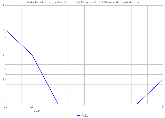 Mate Bandzsok (United Kingdom) Page visits 2024 