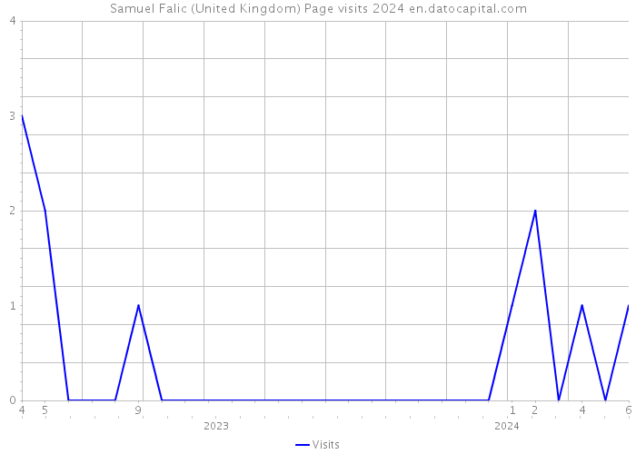 Samuel Falic (United Kingdom) Page visits 2024 
