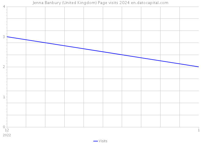 Jenna Banbury (United Kingdom) Page visits 2024 