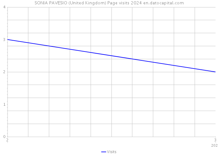 SONIA PAVESIO (United Kingdom) Page visits 2024 