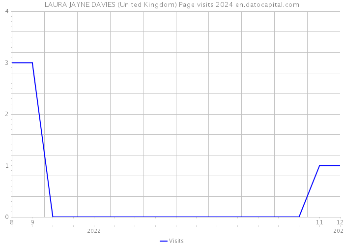 LAURA JAYNE DAVIES (United Kingdom) Page visits 2024 