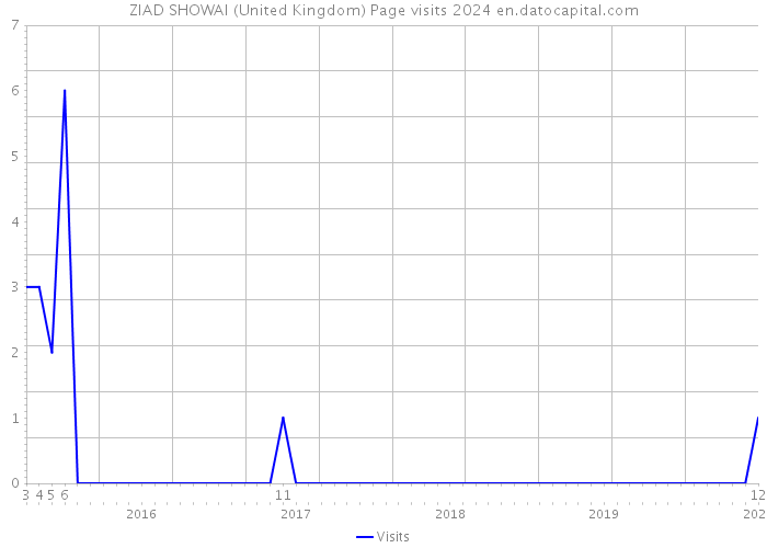 ZIAD SHOWAI (United Kingdom) Page visits 2024 