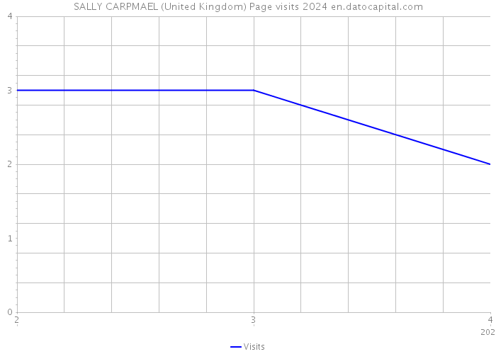 SALLY CARPMAEL (United Kingdom) Page visits 2024 