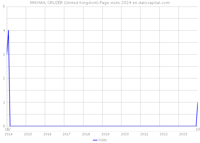 MIKHAIL GRUZER (United Kingdom) Page visits 2024 
