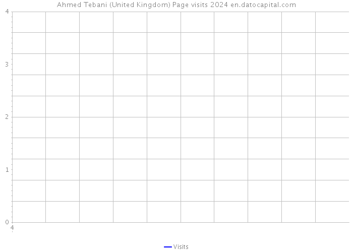 Ahmed Tebani (United Kingdom) Page visits 2024 
