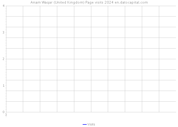 Anam Waqar (United Kingdom) Page visits 2024 