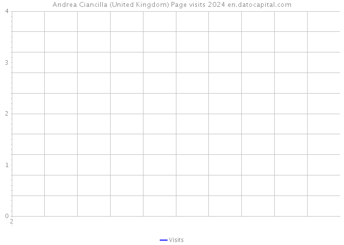 Andrea Ciancilla (United Kingdom) Page visits 2024 